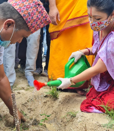 Himani Trust Tree Plantation